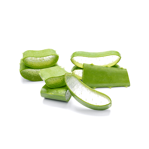 Brand Aloe
