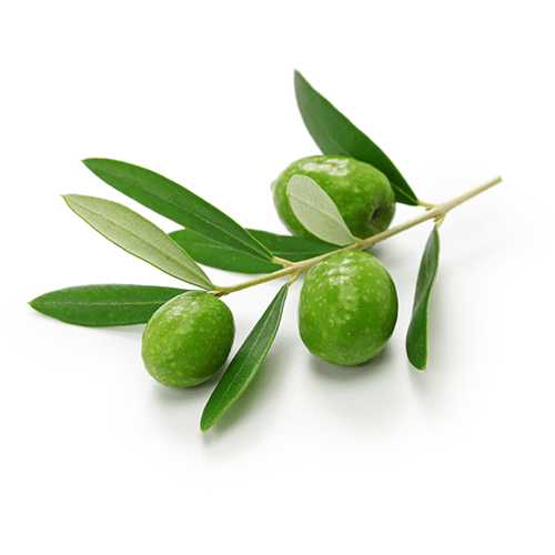 Brand Olio d'Oliva